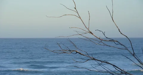 Perfect beach scene Stock Footage 73024883