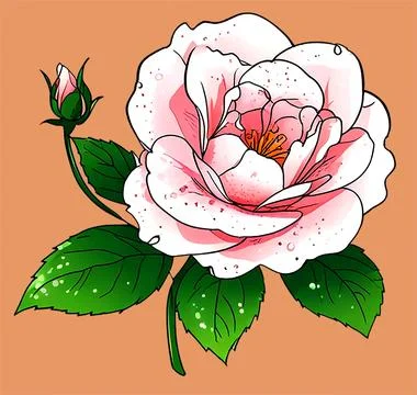 A perfect bloom realistic image of rose Stock Illustration
