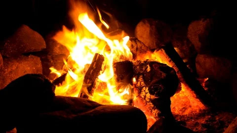 The perfect camp-fire with logs burning intensely Stock Footage 128052387