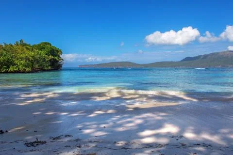Perfect empty Caribbean sandy beach with clear water and green palm trees Stock Photos