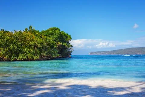 Perfect empty Caribbean sandy beach with clear water and green palm trees Stock Photos
