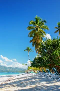 Perfect empty Caribbean sandy beach with clear water and green palm trees Stock Photos