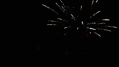 A Perfect Firework, Single Shot in the Night Sky Stock Footage 201446355
