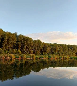 Perfect Forest Reflection in Calm River Water at Sunset Stock Photos