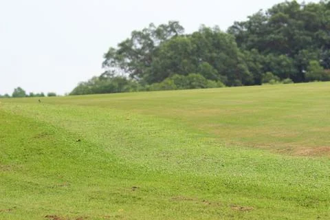Perfect grass golf course field at hk 스톡 사진