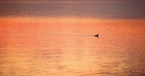 Perfect Lake View at Sunset 4K Slow Motion 库存影片 247058076