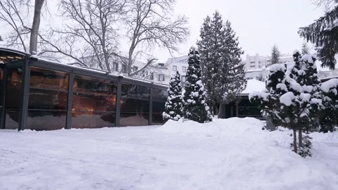The perfect landscape of a winter day, the yard and the trees furrowed by the Stock Footage 159554297
