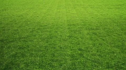 Perfect Lawn, LOOP Stock Footage 74361510