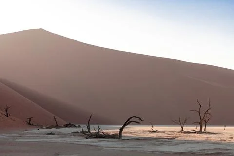 Perfect light from the sun ig going on the duna, Namibia. Stock Photos