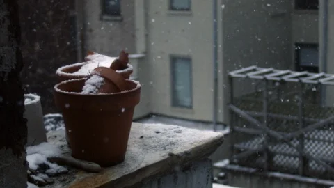 Perfect loop : Snow endlessly falling on a flower pot on a New York City Balcony Stock Footage 109482847