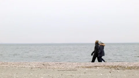 Perfect loop : two women walking on a pebble beach in winter Stock Footage 109609974