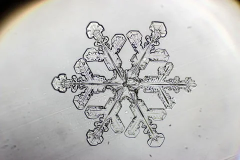 Perfect Melting Snowflake Stock Footage 46838549