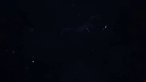 Perfect Melting Snowflake Stock Footage 75610999