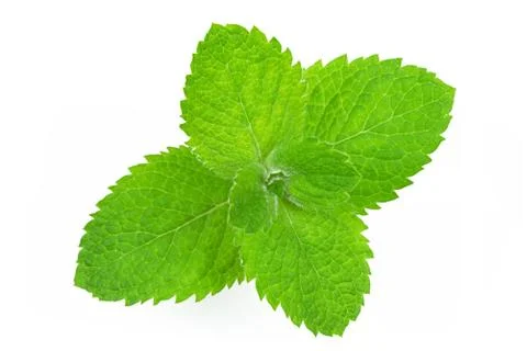 Perfect mint leaves Stock Photos