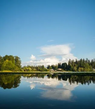 Perfect mirror reflection of trees and clouds on a calm lake surface under a  Foto stock