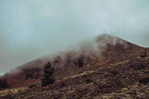 Perfect mountail lanscape in clouds Stock Photos