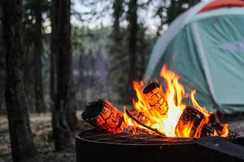 A Perfect Night Stock Photos