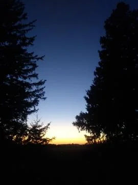 Perfect Postcard Sunset Pine Trees Silohuette Stock Photos