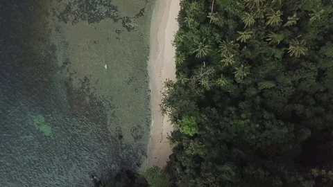 Perfect private beach Tropical forest Palm Paradise trees in El Nido Palawan  Stock Footage 102585099