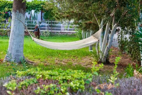 Perfect private garden, with empty hammocks under the shadow of trees With sh Stock Photos