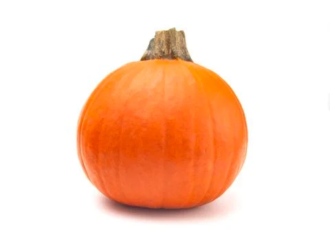 A Perfect Pumpkin For Making into a Pie Stock-Fotos