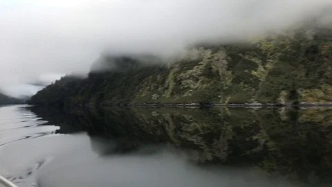 Perfect Reflection in Doubtful Sound Stock Footage 116415293