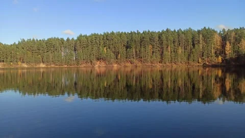 Perfect reflection of a green pine forest in the calm water mirror of a lake Video stock 339687117