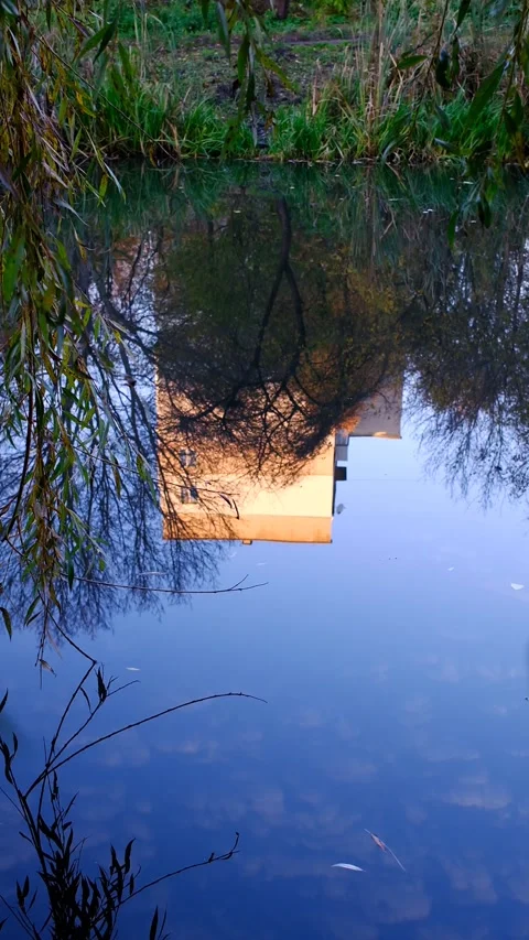 Perfect reflection of light building and trees on still water Stock Footage 327716953