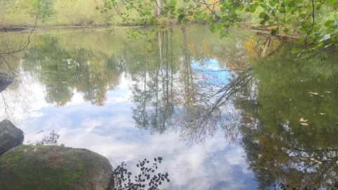 Perfect River Mirror Reflecting Blue Sky White Clouds And Autumn Trees Stock Footage 348154757