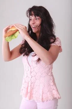 Perfect Schnitzelsemmel Stock Photos