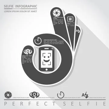 Perfect selfie. Camera infographic, vector Stock Illustration