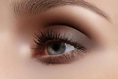 Perfect shape of eyebrows, brown eyeshadows and long eyelashes. Closeup macro Stock Photos