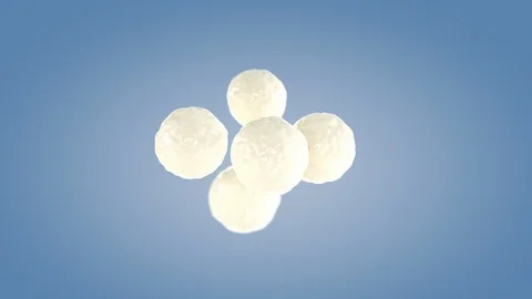 Perfect shape milk splashing isolated on blue background. Video stock 117236149