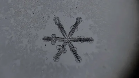 Perfect six-pointed snowflake melts openwork Stock Footage 72776936