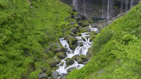 Perfect slow cinematic tilt up over river and massive waterfall in lush greens 库存影片 345155698