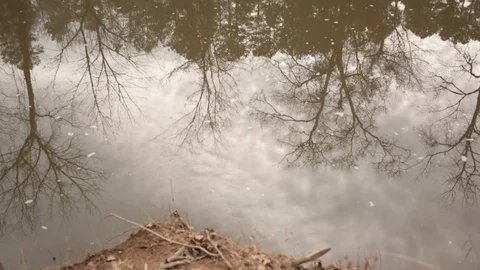 Perfect spot 動画素材 104975511