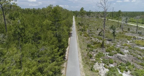 Perfect straight cycle path along line of trees in Florida, USA drone aerial 4K Stock Footage 111418593