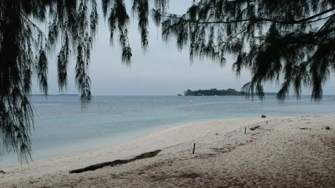 Perfect summer on the beach 動画素材 130271433