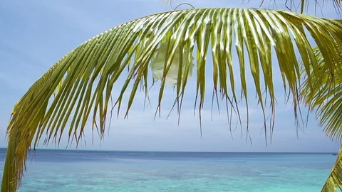 Perfect Summer Getaway On Maldives Stock Footage 125664330