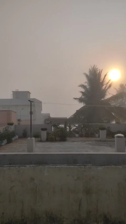 A Perfect Sunrise between Coconut Trees Stock Footage 149949427