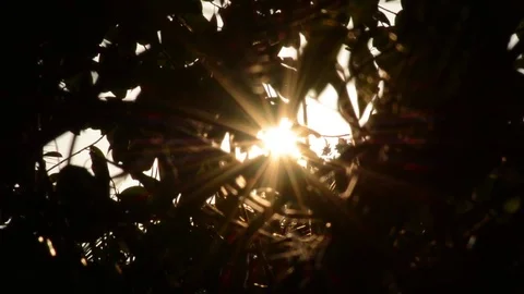 PERFECT SUNSET Stock Footage 76354733