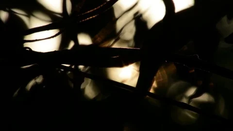 PERFECT SUNSET Stock Footage 76354854