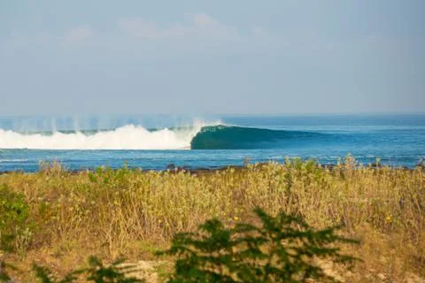 Perfect surfing wave Stock Photos