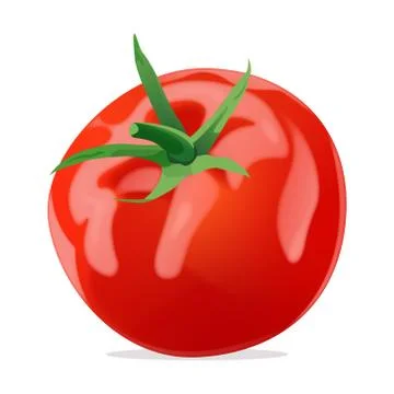 Perfect tomat on white background. Read color and so clean tomat Stock Illustration