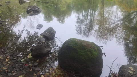 Perfect Tree Reflections On Calm River Interrupted By Large Rocks Stock Footage 348063152