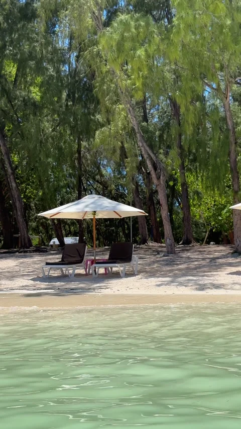 The perfect tropical getaway Stock Footage 311392935