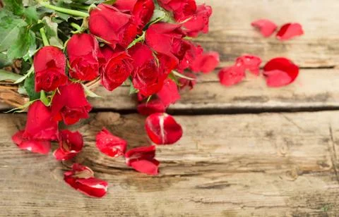 Perfect Valentines roses Stock Photos