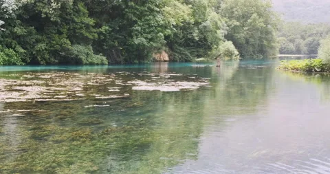 Perfect view of the calm clear shallow river. You can see the bottom and green Vídeo Stock 181385273
