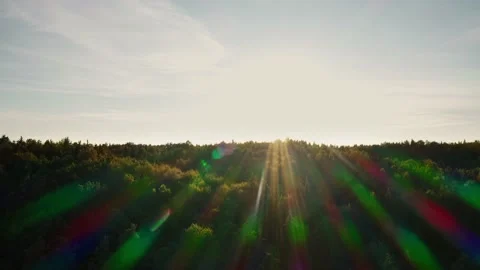 Perfect warm sunset from drone flying above summer green forest and fields Stock Footage 135649789
