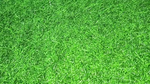 Perfect for website backgrounds, nature themes, environmental concepts, and outd Vídeo Stock 335058194